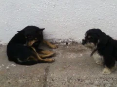 Zdjęcie z galerii